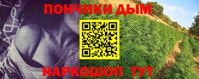 прущие крисы Гай
