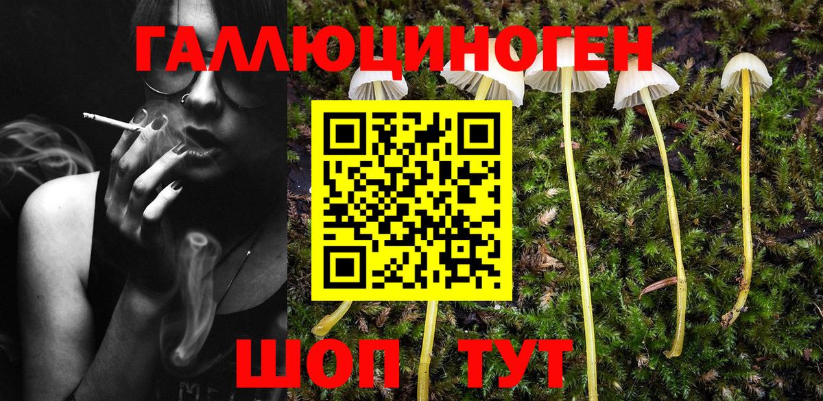 Псилоцибиновые грибы прущие грибы Шелехов