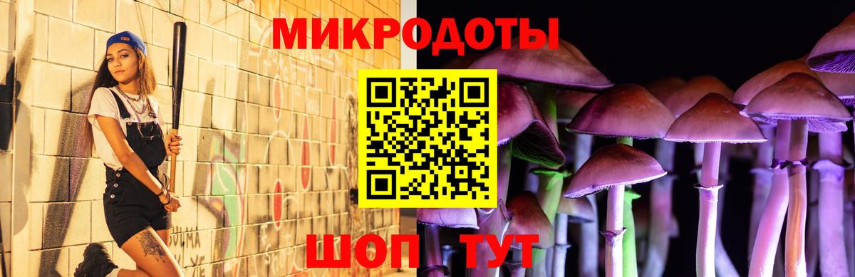 Псилоцибиновые грибы Cubensis  Вход с VPN  Шелехов 